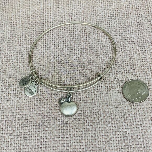 Alex and Ani Silver Apple Bracelet - Picture 1 of 2